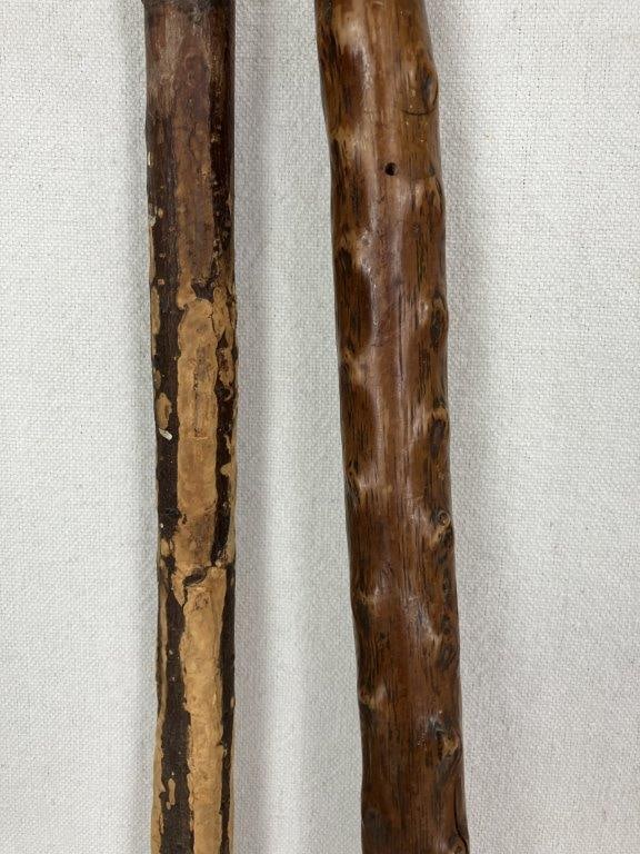 Two Organic Form Canes - 4