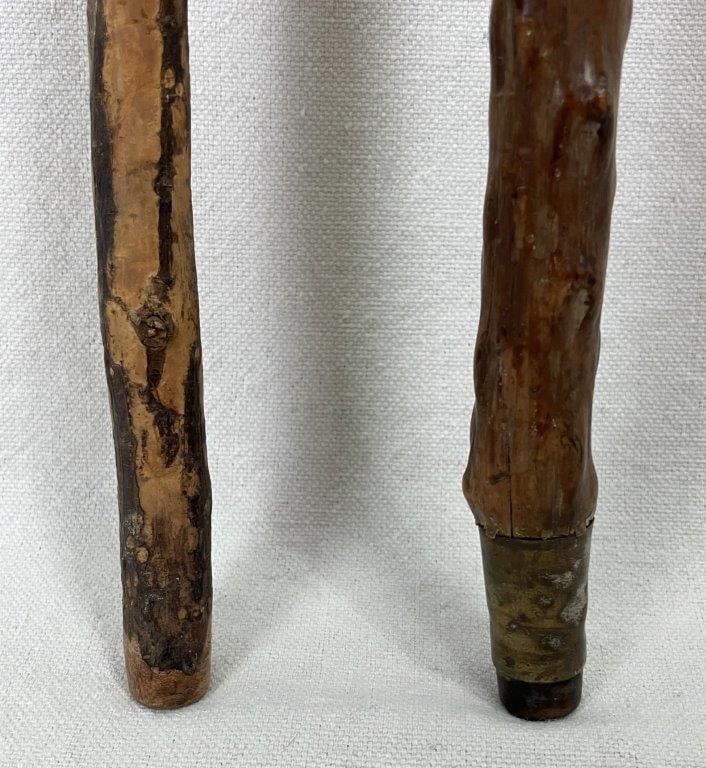 Two Organic Form Canes - 5