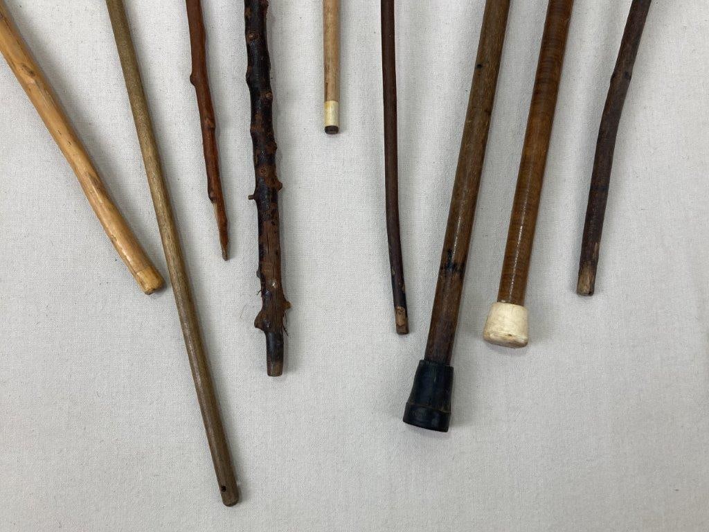 Group of Nine Walking Sticks - 7