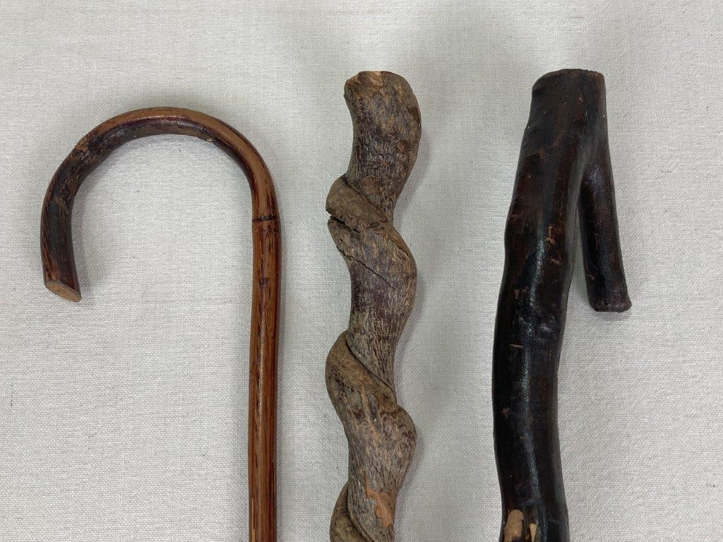 Group of Five Organic Farm Walking Sticks and Canes - 2