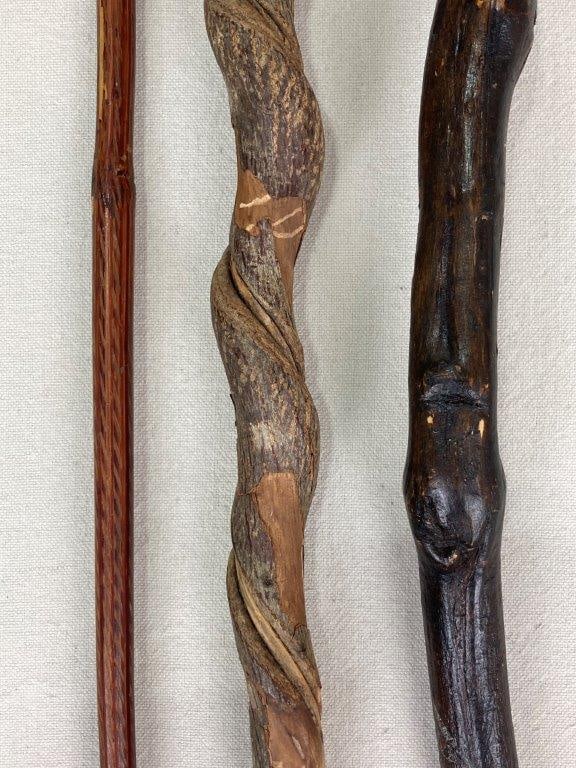 Group of Five Organic Farm Walking Sticks and Canes - 3