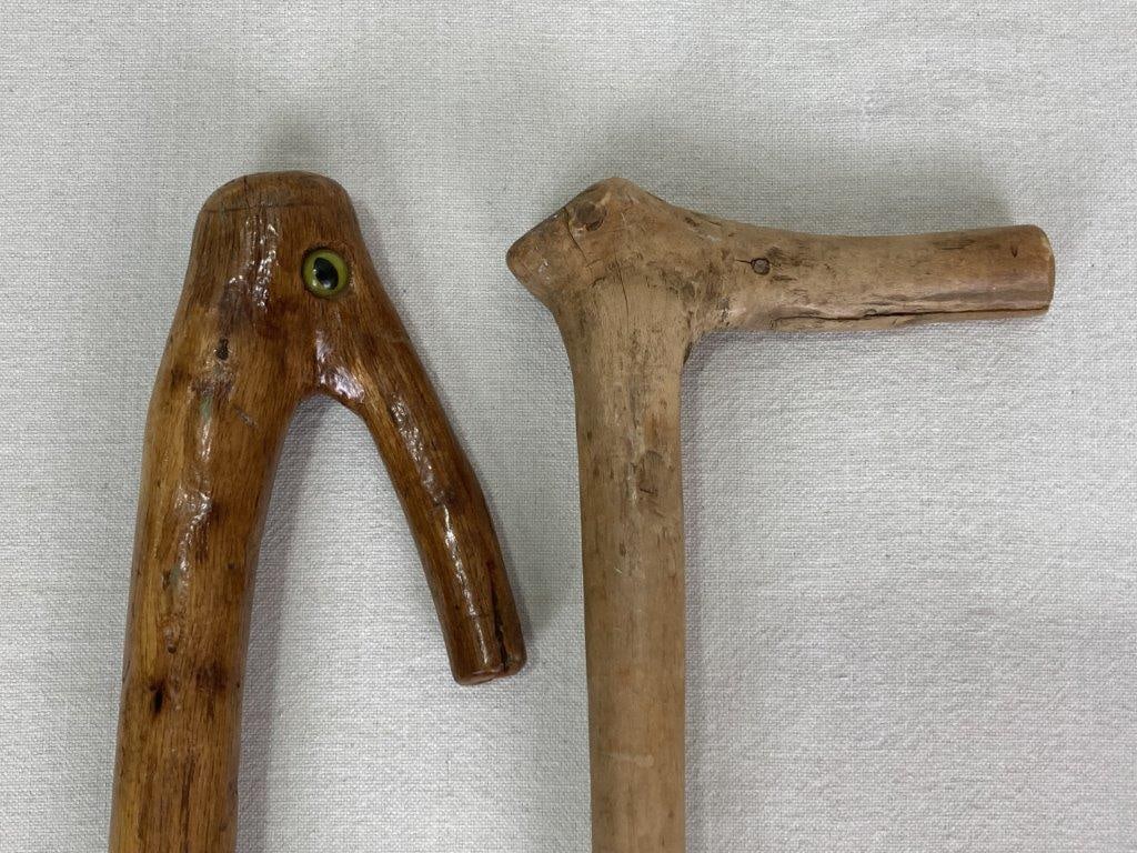 Group of Five Organic Farm Walking Sticks and Canes - 5