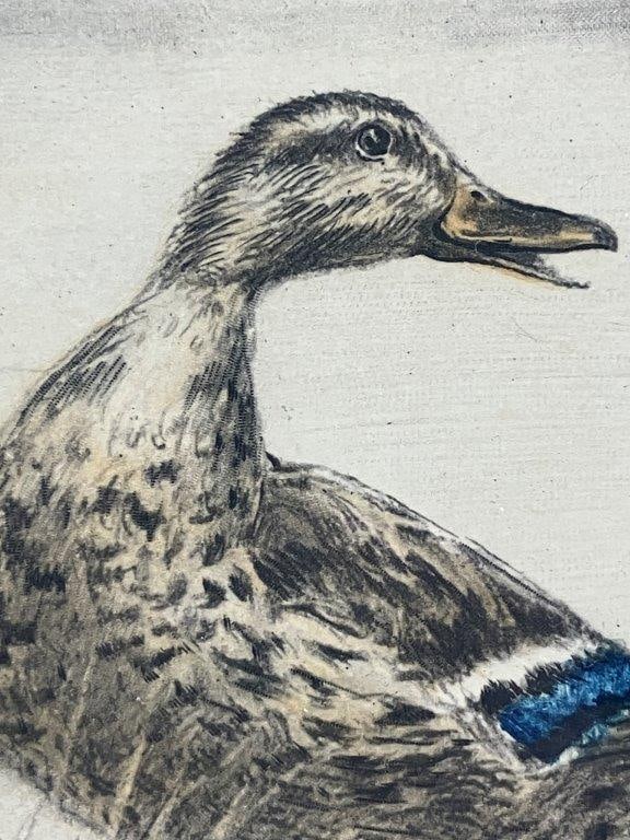 Leon Danchin Ducks Etching - 3