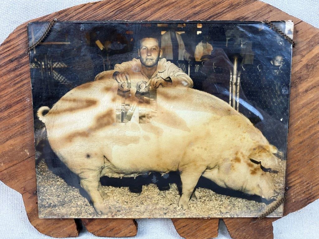 Prize Pig Folk Art Photograph and Cutting Board - 2