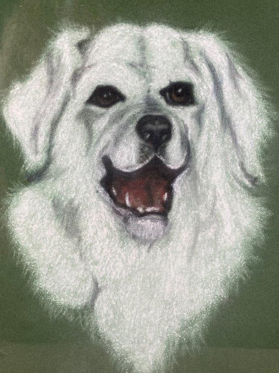 White Dog, Pastel Drawing - 3