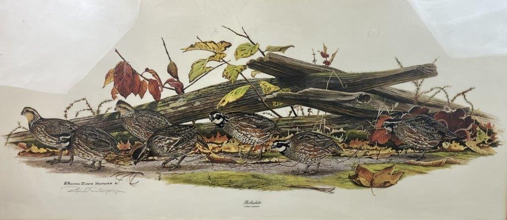 Signed Richard Evans Younger, Bobwhite Bird, Print - 2