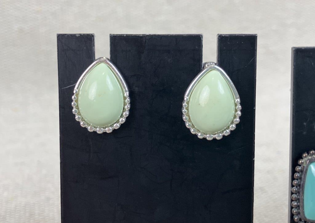 Assortment of Costume Earrings with Case - 5