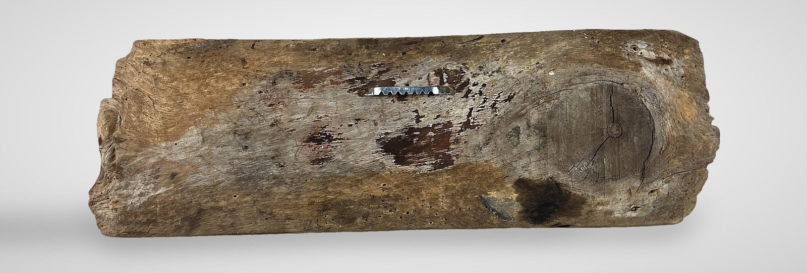 Folk Art, Hound Dog Painting on Driftwood - 6