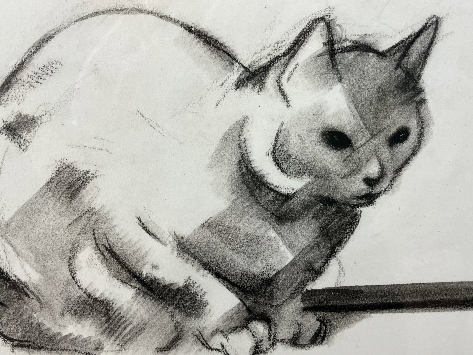 Jacques Nam, Cat, Watercolor and Graphite Study - 3