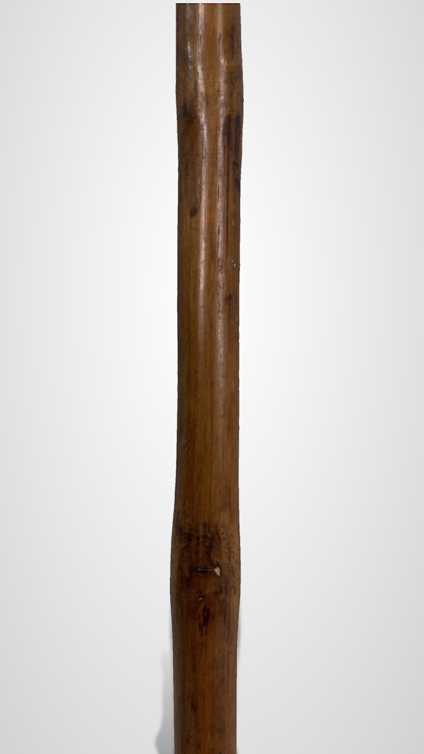 Folk Art Dog and Snake Walking Stick - 7