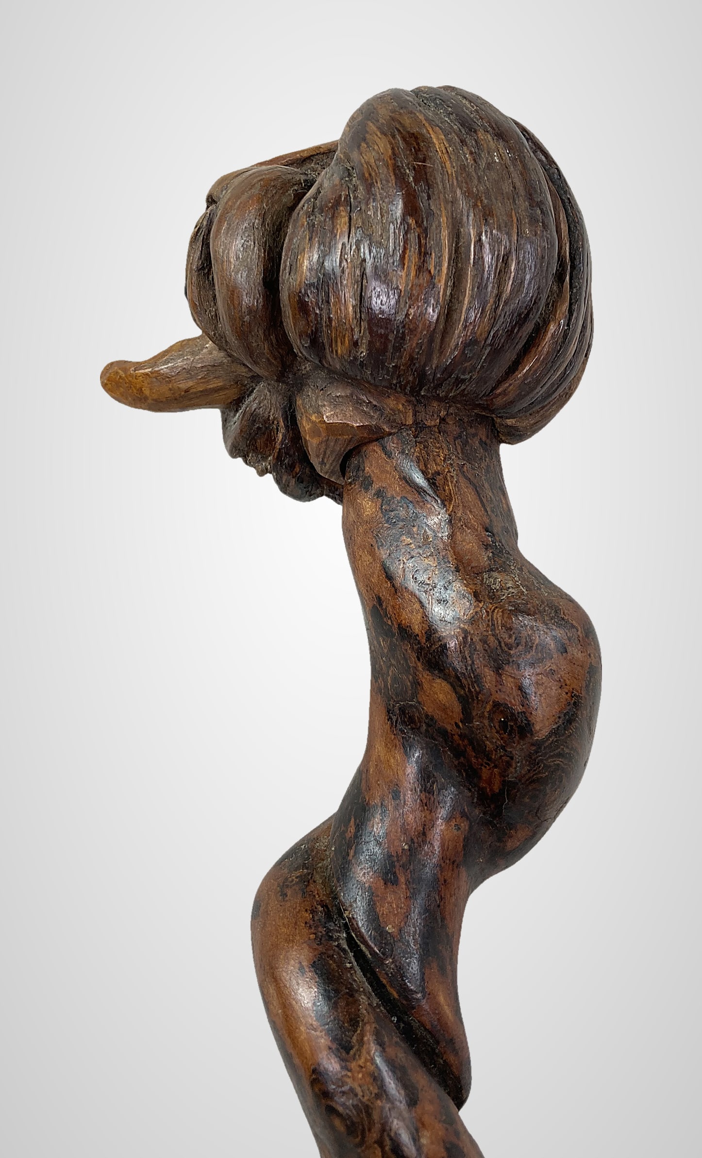 Folk Art Carved Grotesque Cane - 4