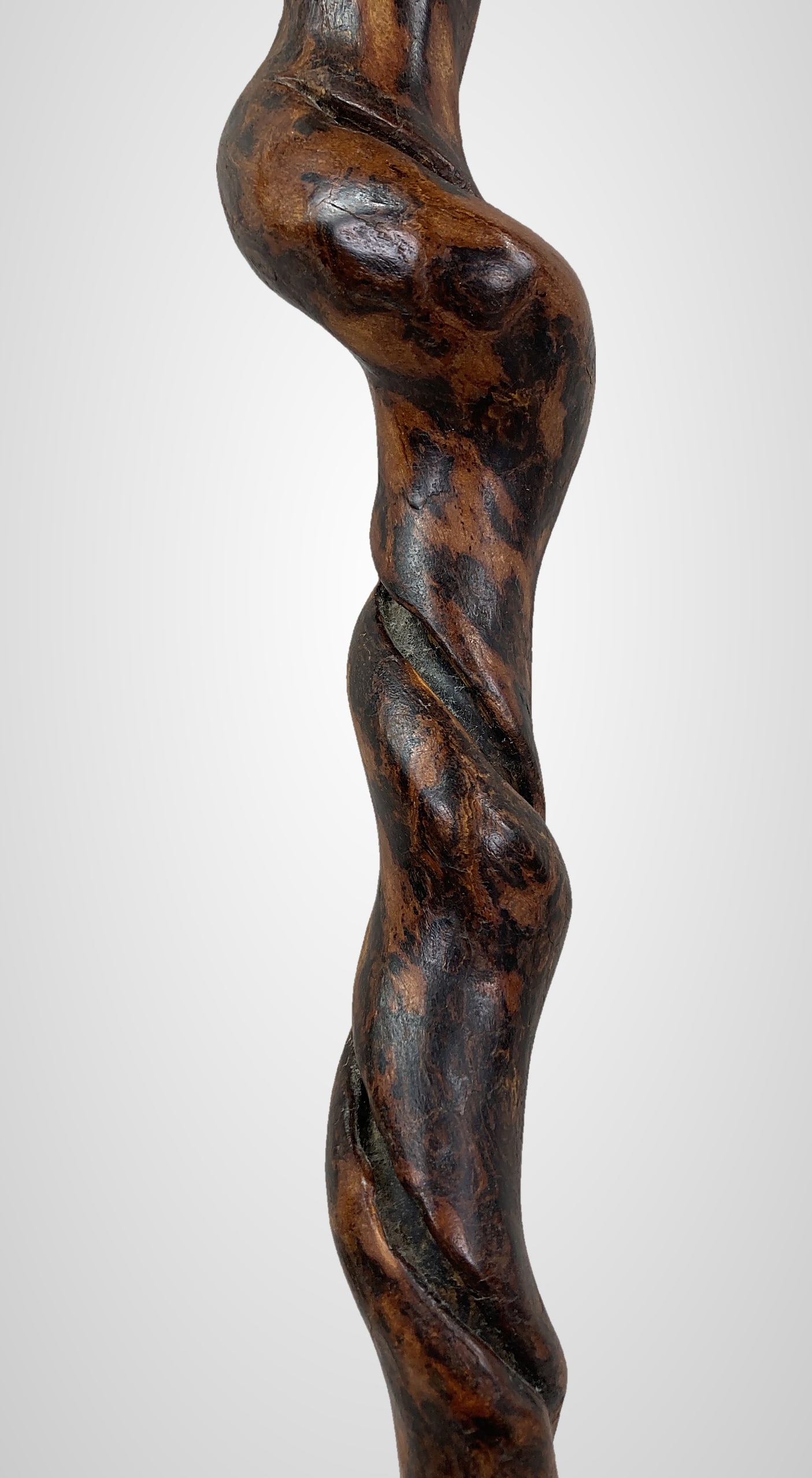 Folk Art Carved Grotesque Cane - 7