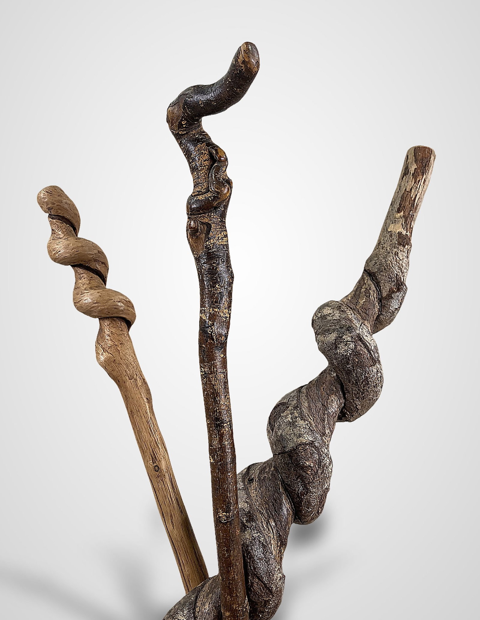 Three Folk Art Carved Canes: Set of three burlwood canes showcases careful construction that highlights the beauty of the natural material through the use of organic, curving forms. One cane measures approximately 38 in. H x 3