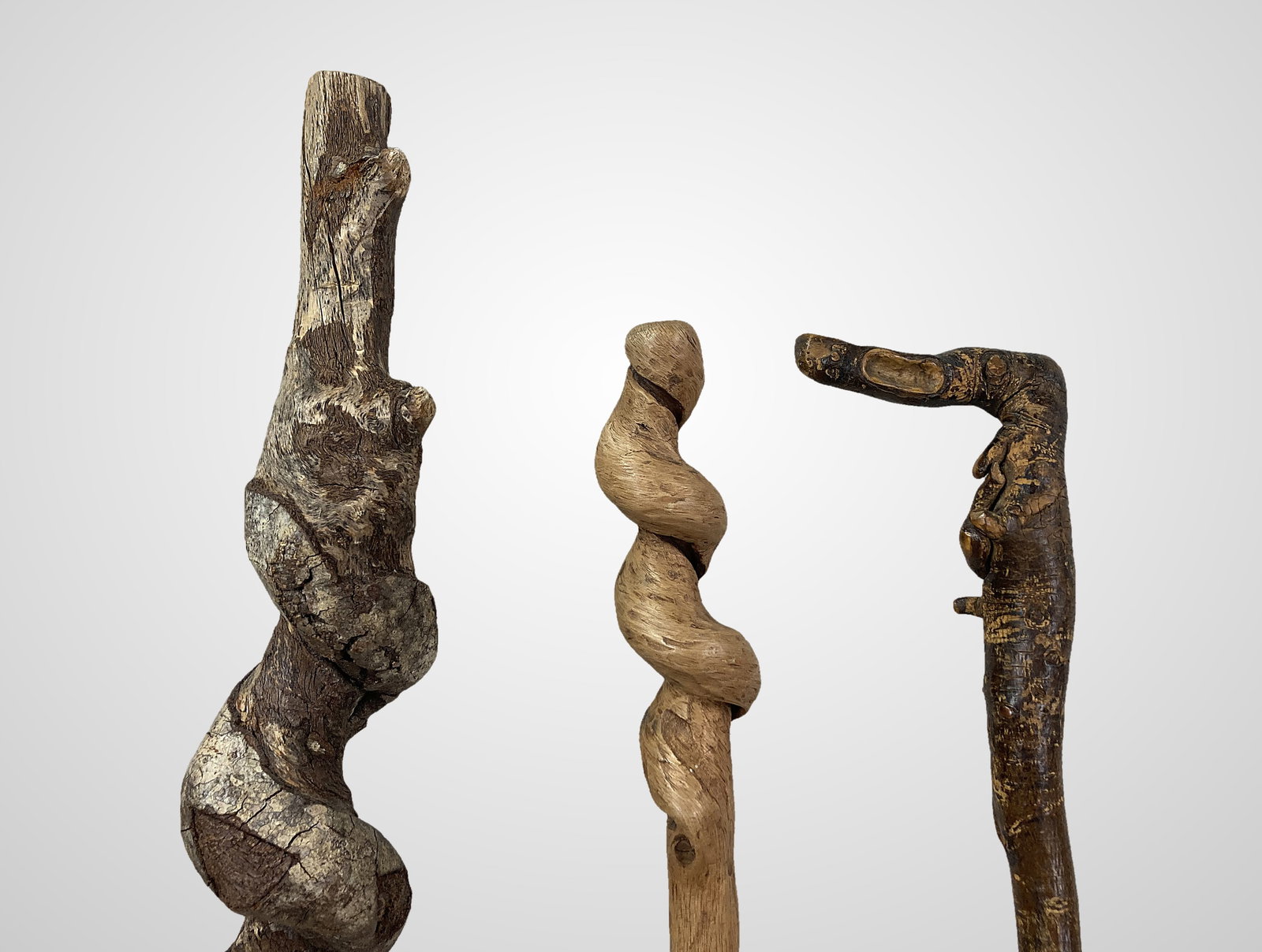 Three Folk Art Carved Canes - 2
