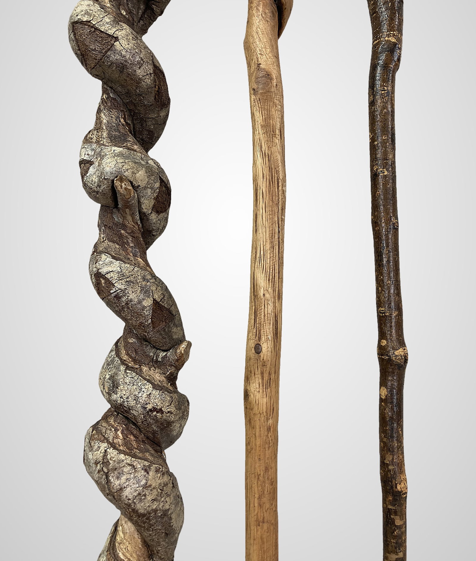 Three Folk Art Carved Canes - 4
