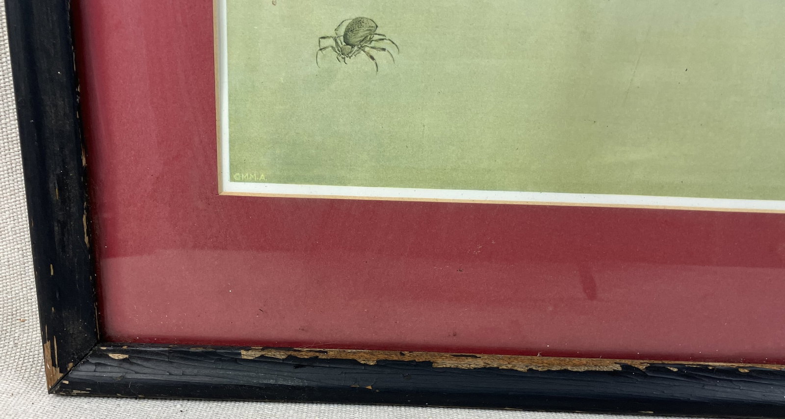 Japanese,Cat Watching A Spider, Chromolithograph After Oide Toko - 4