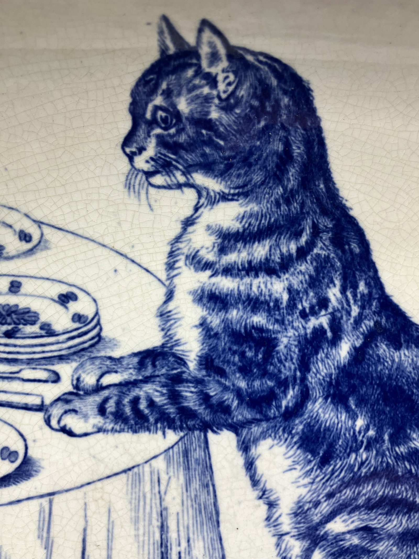 Minton Transferware Cat Dish - 2