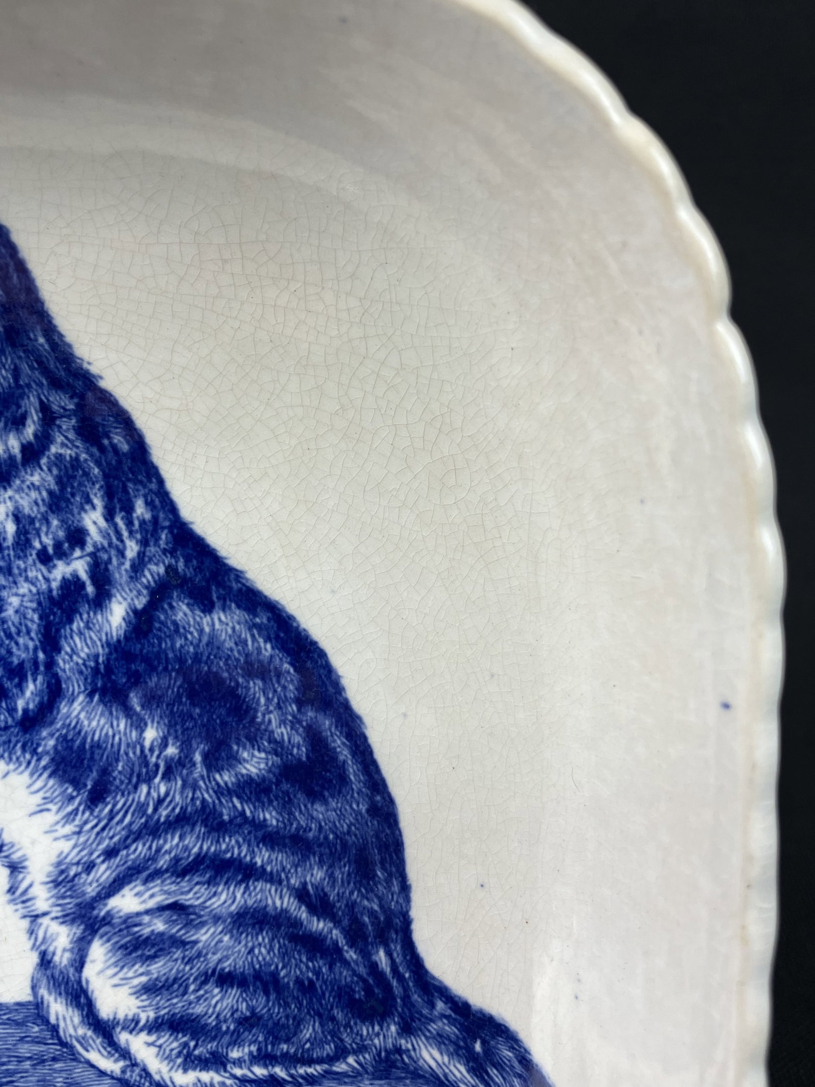 Minton Transferware Cat Dish - 4