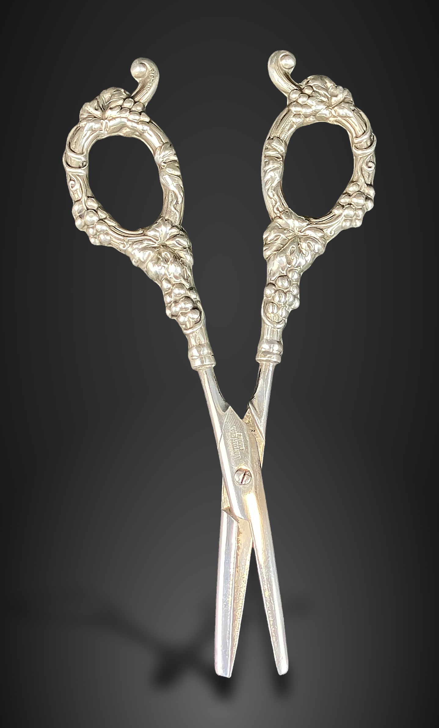 Sterling Silver Handled Grape Shears - 5
