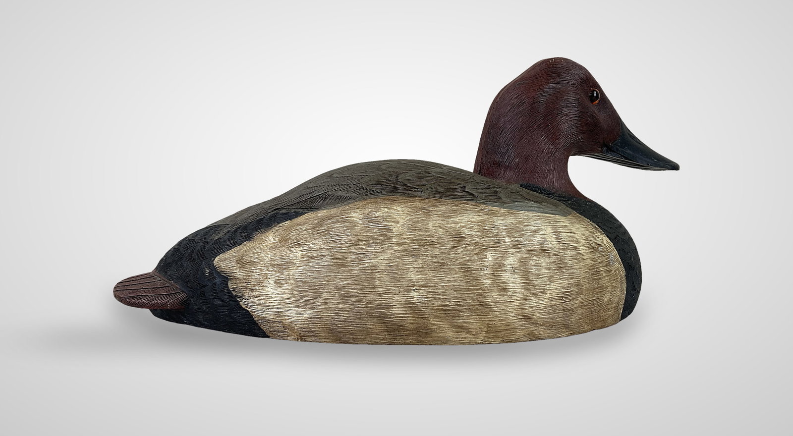 Canvasback Drake Duck Decoy - 3