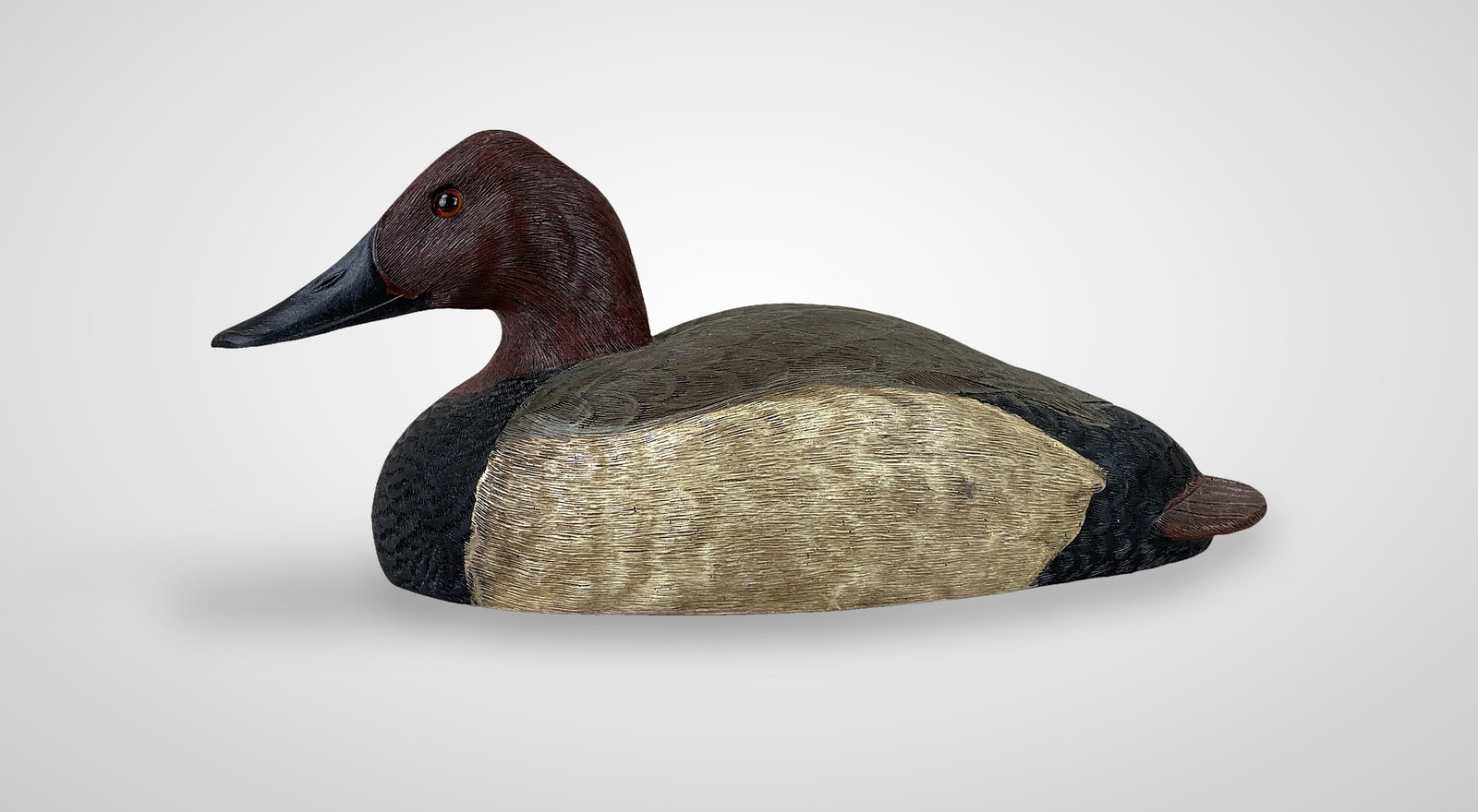 Canvasback Drake Duck Decoy - 5