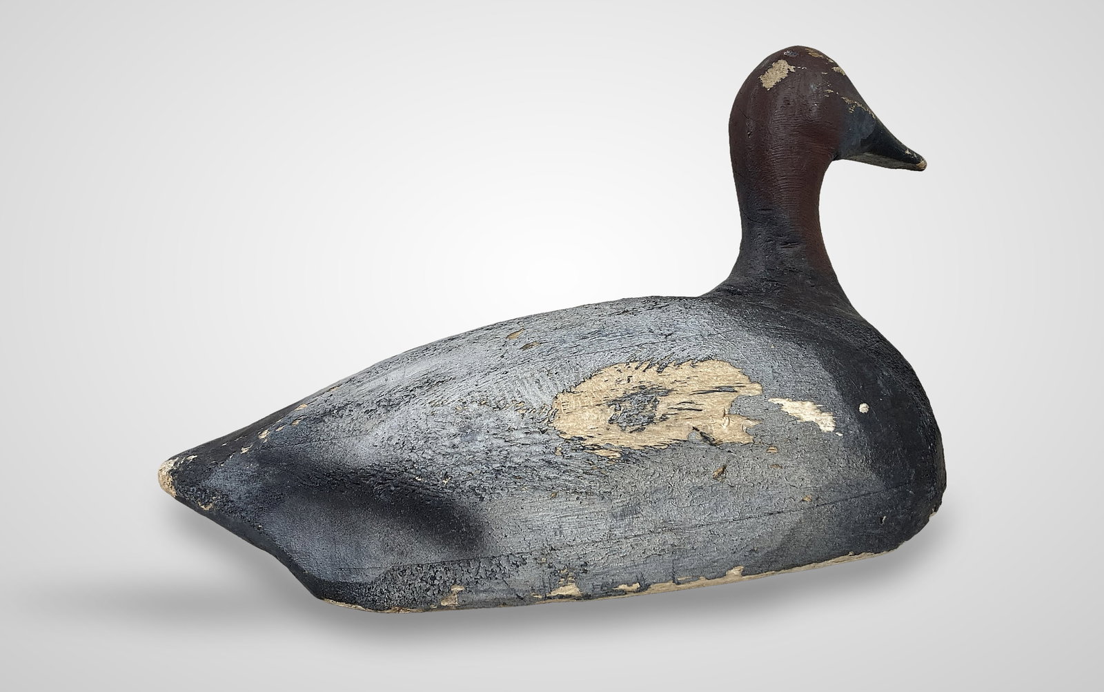 Carved Canvasback Drake Duck Decoy - 3