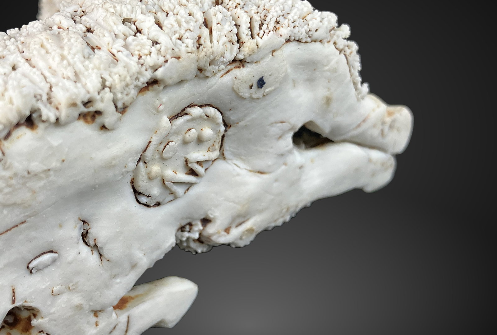 Studio Pottery Sheep - 11