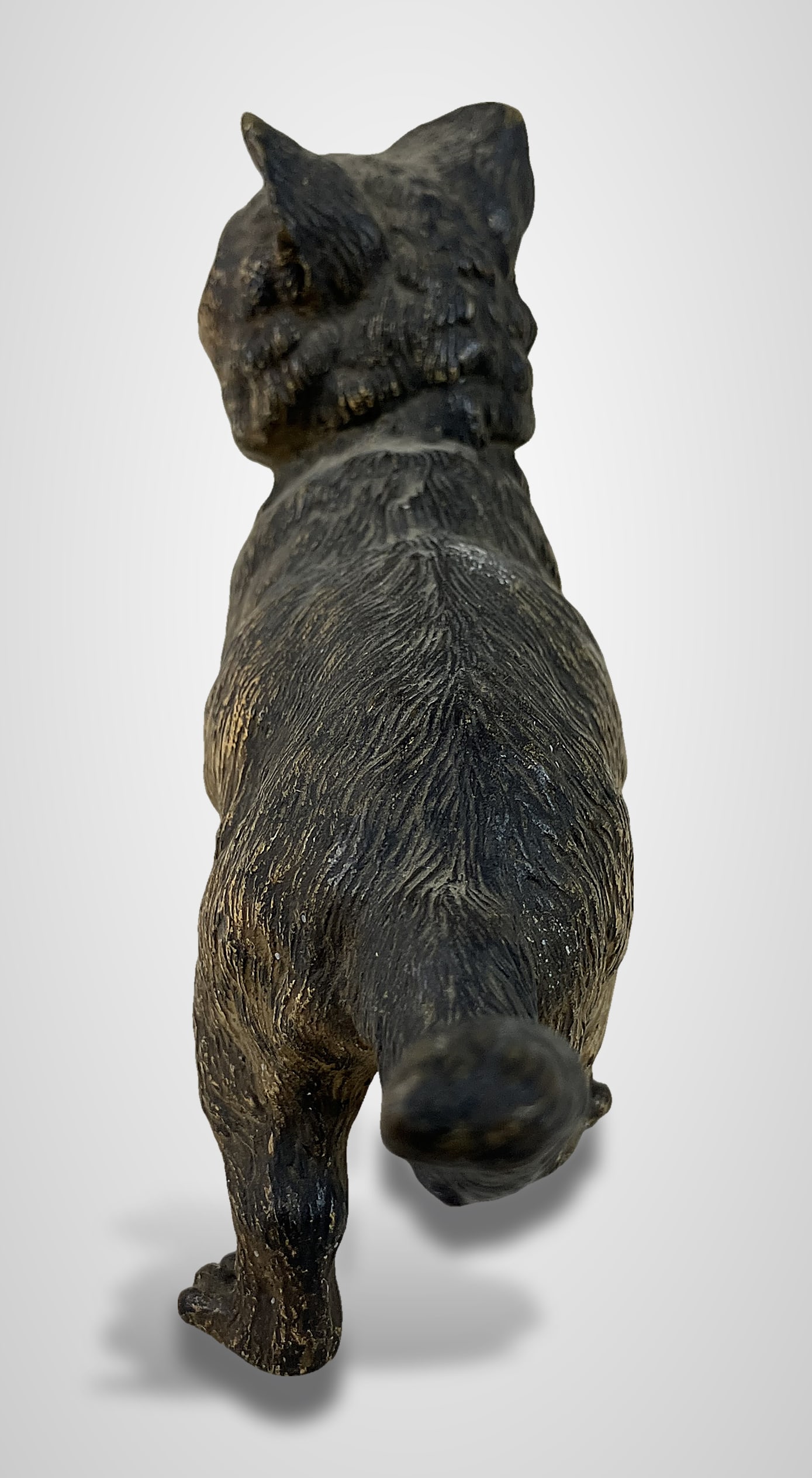 Austrian Cold Painted Bronze Cat - 5