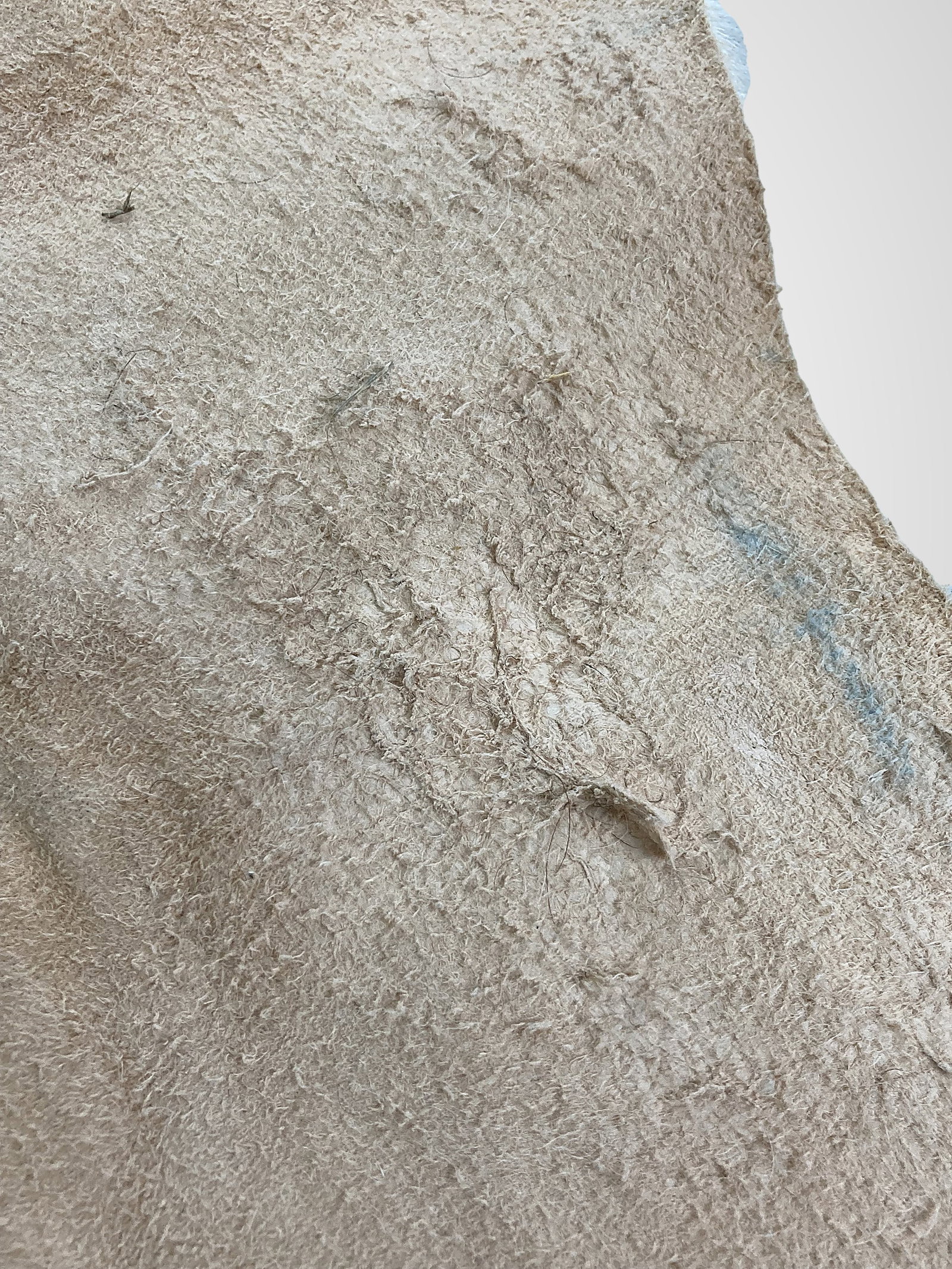 Brazilian Cowhide - 5