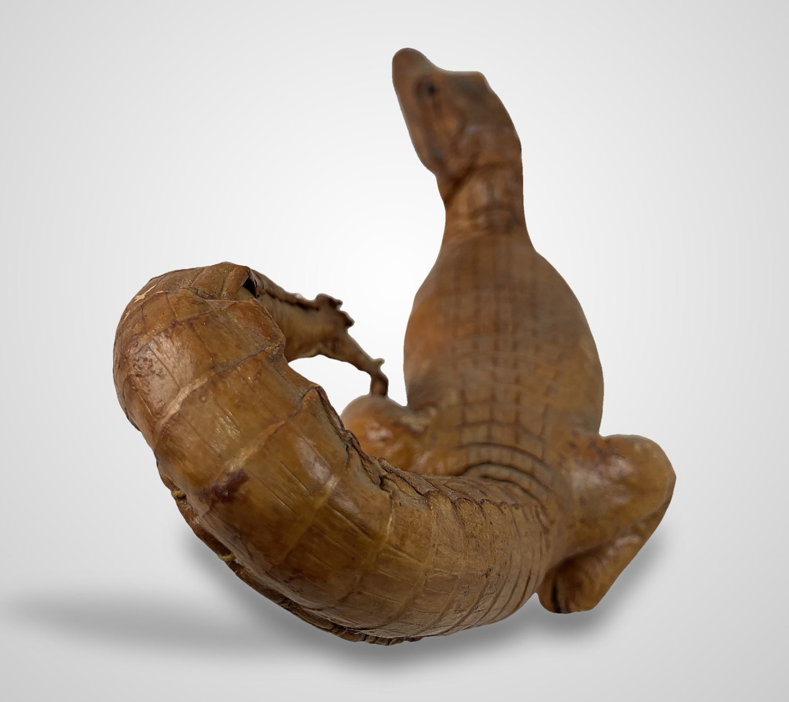 Taxidermied Baby Alligator - 8