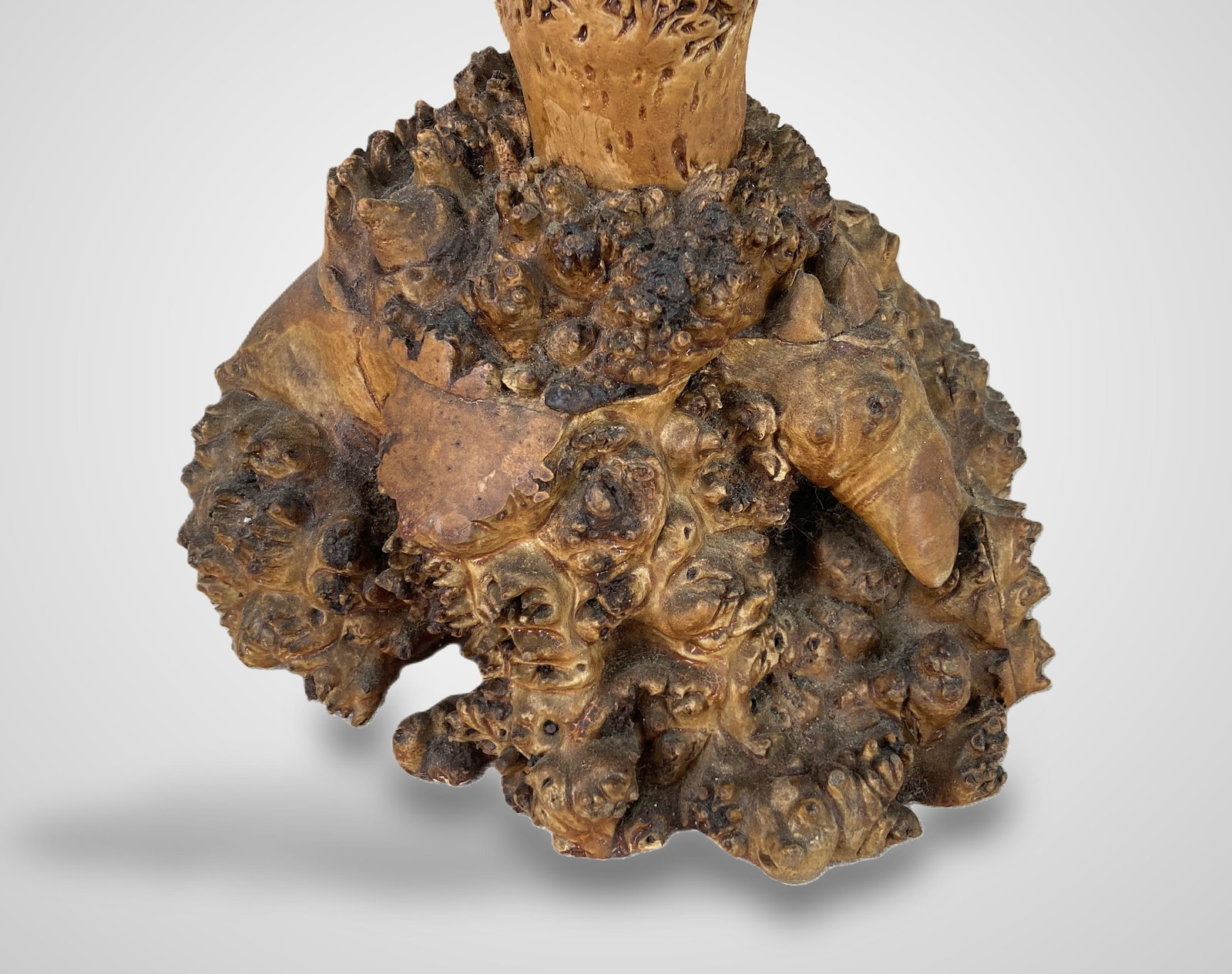 Folk Art Burl Wood Candelabra - 8