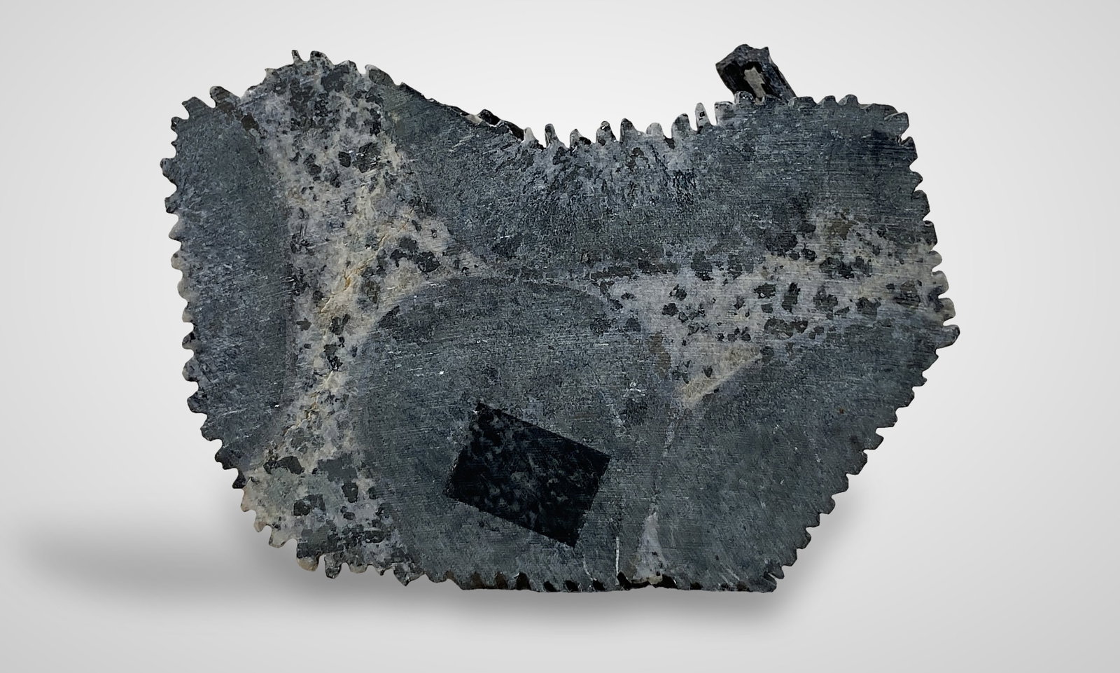 Sodalite and Black Tourmaline Cat Sculpture - 8