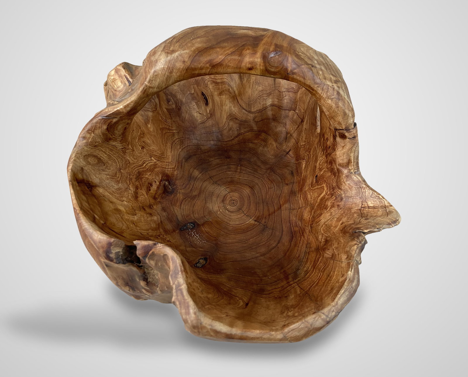 Fir Tree Carved Wood Basket with Cedar Eggs - 3