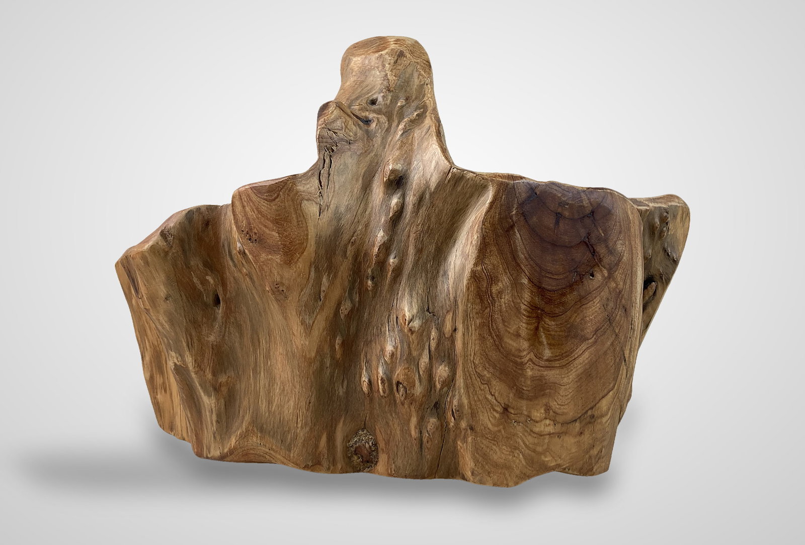 Fir Tree Carved Wood Basket with Cedar Eggs - 7