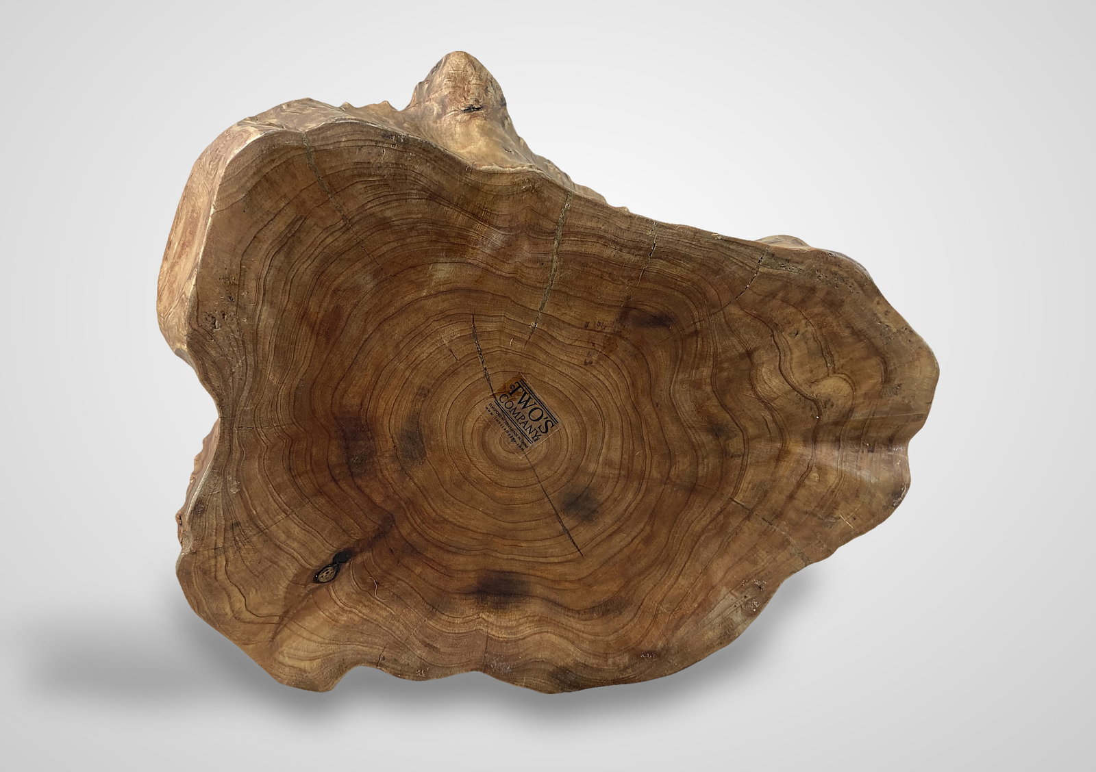 Fir Tree Carved Wood Basket with Cedar Eggs - 8