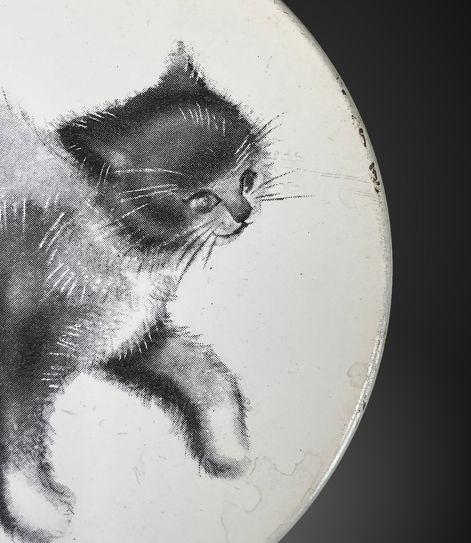 Cat Coasters - 2