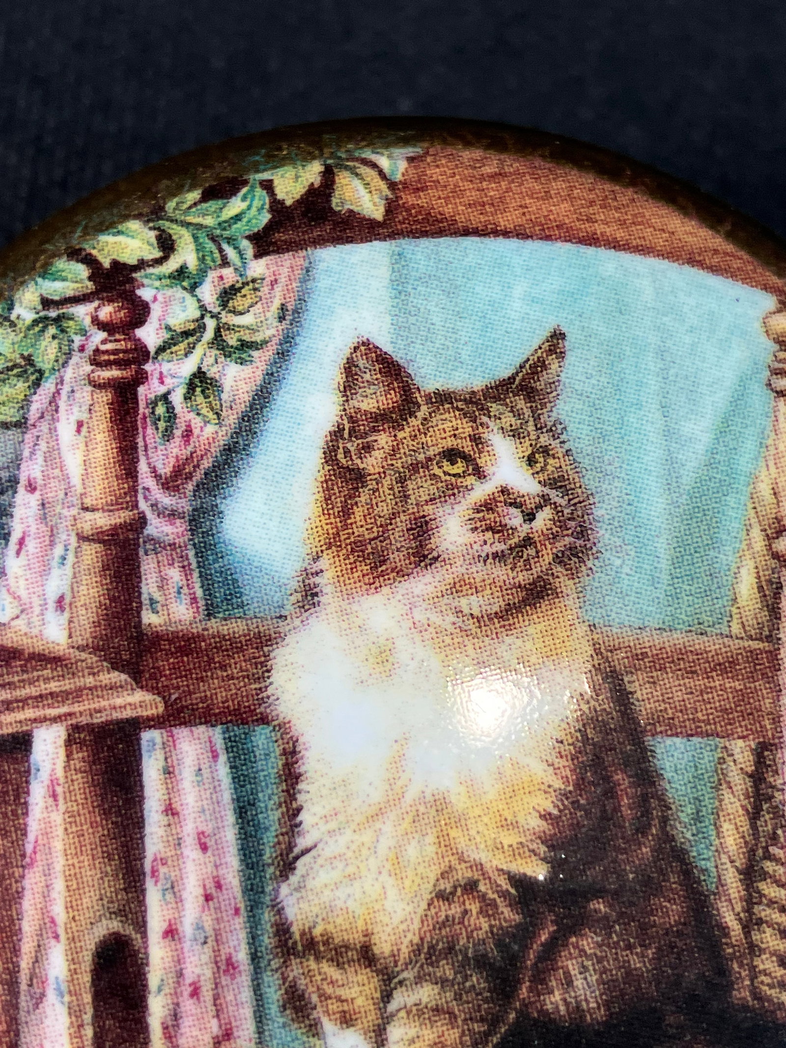 Staffordshire Cat Trinket Box - 5