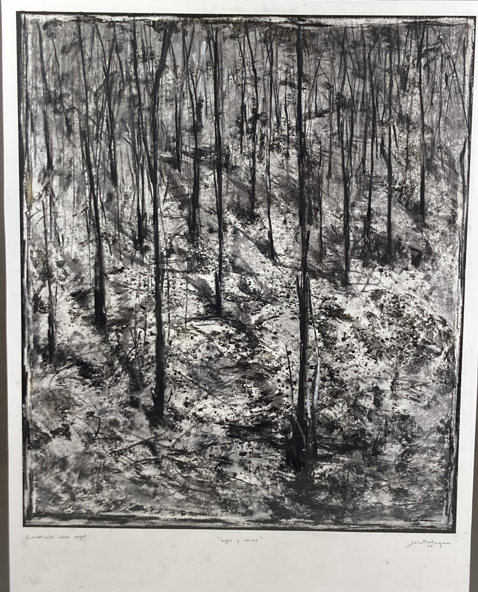 Jon Beyoda, Hojas y Raices, Charcoal Drawing - 2