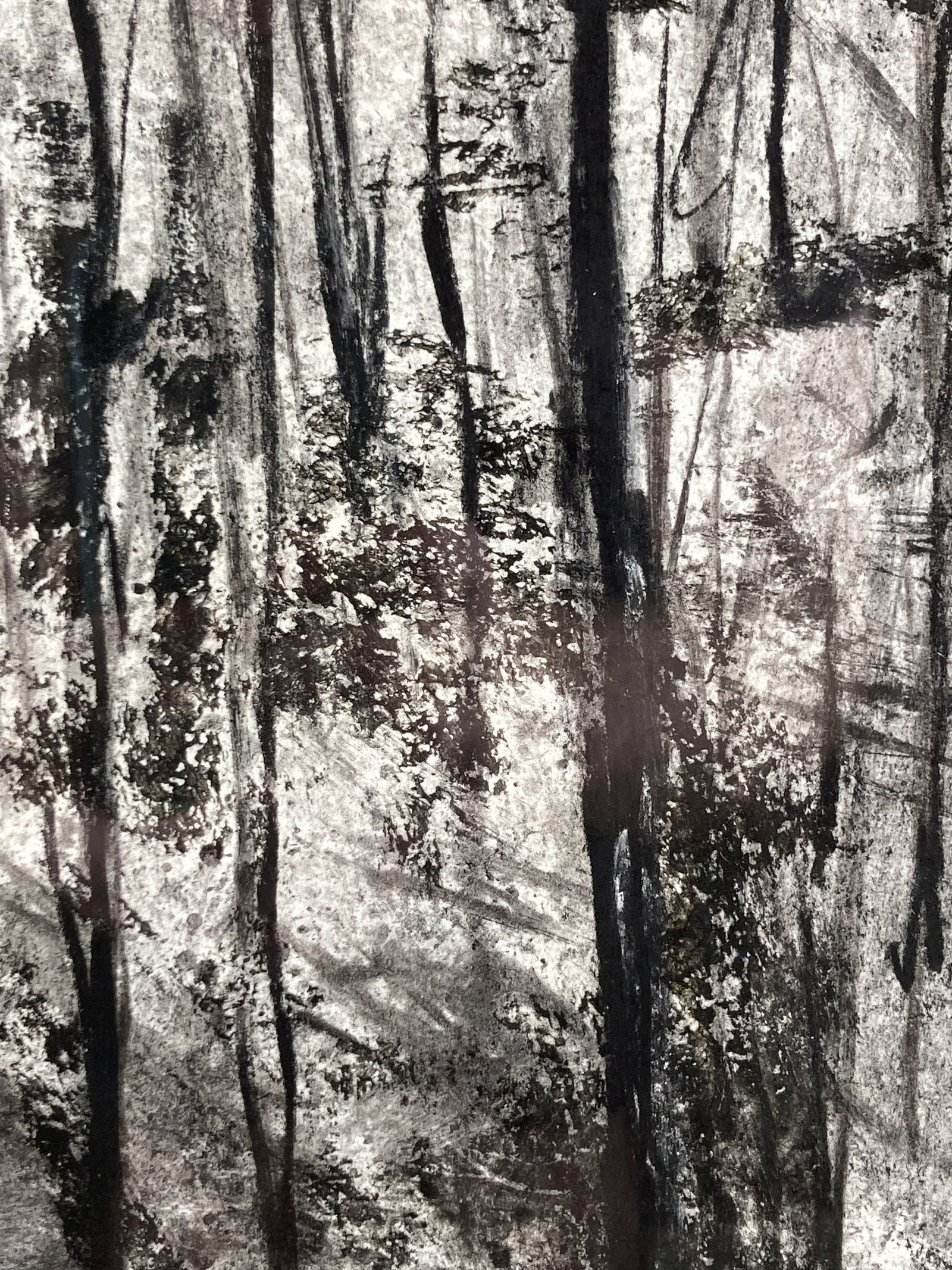 Jon Beyoda, Hojas y Raices, Charcoal Drawing - 3