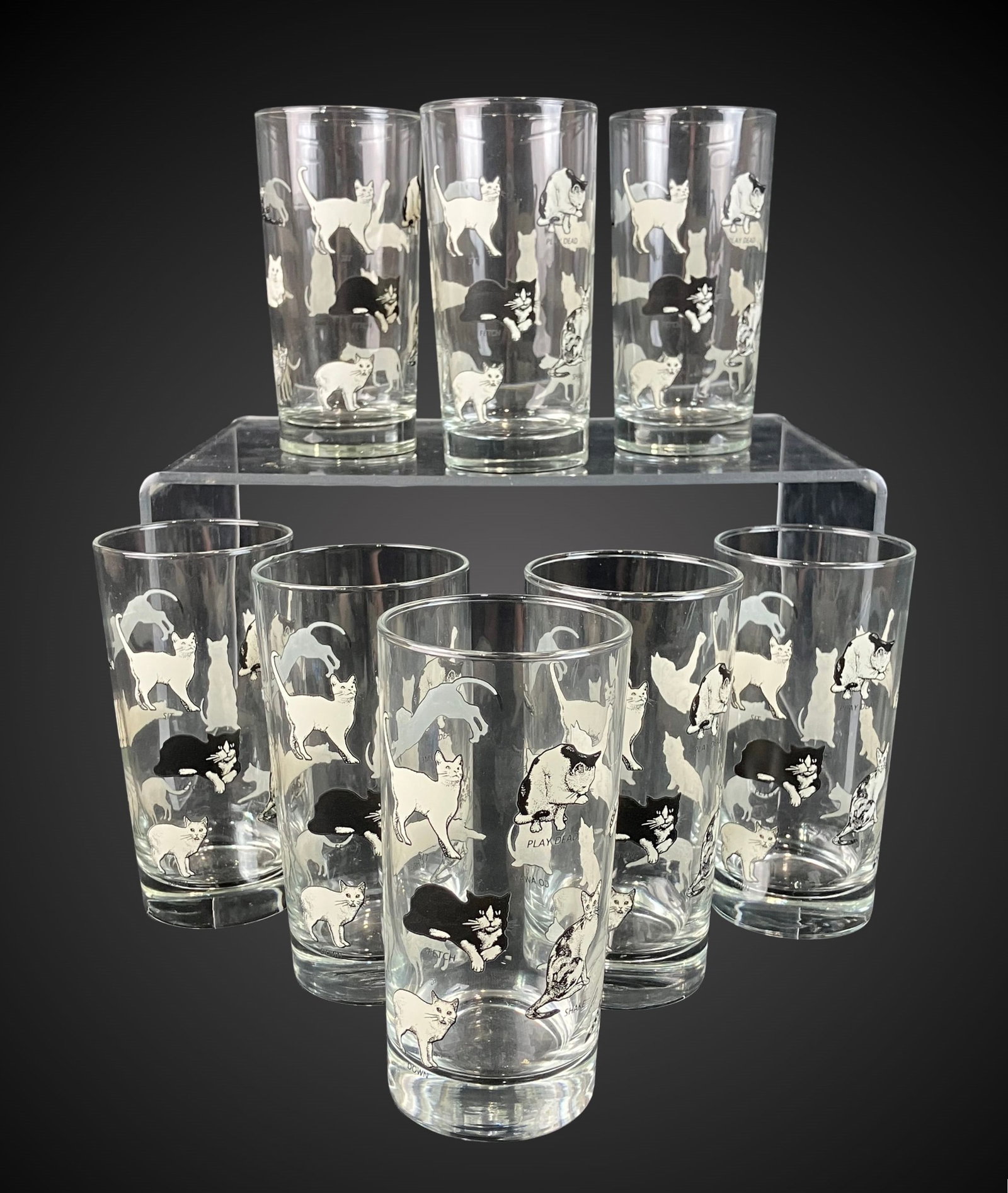 Fishs Eddy Cat Glasses: This set of eight flat tumblers features whimsical, varied illustrations of cats in multiple poses. Each glass measures approximately 5 3/4 in. H x 2 5/8 in. in diameter and is in good condition.