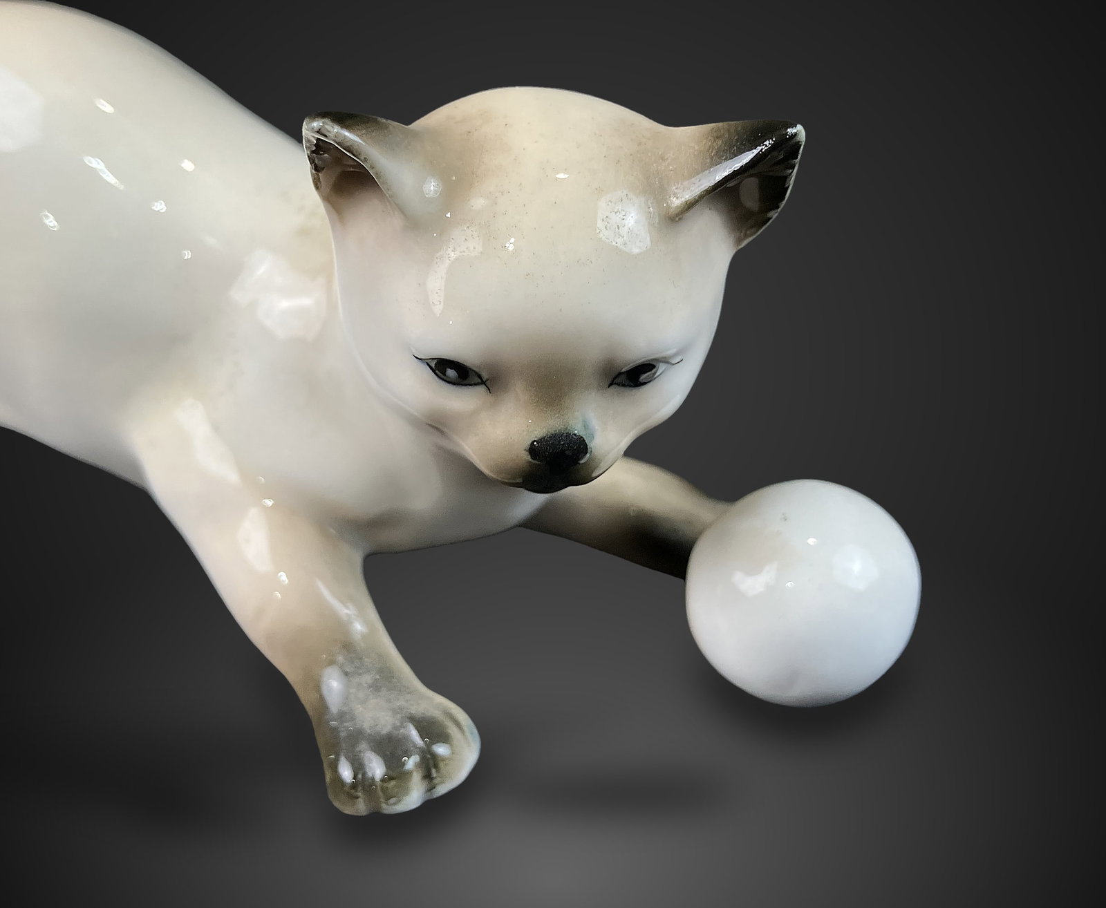 Lenwile China Siamese Cat - 2