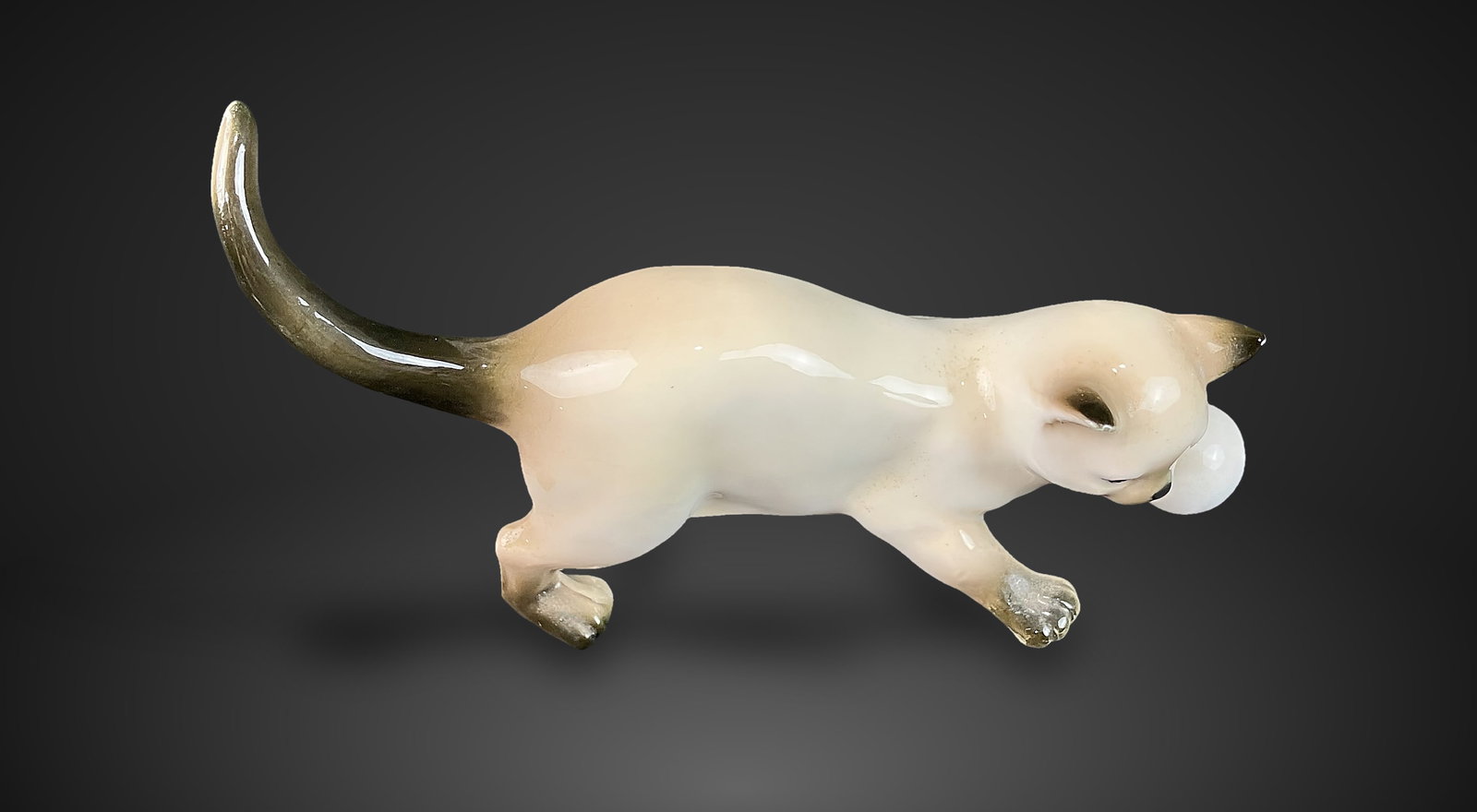 Lenwile China Siamese Cat - 3