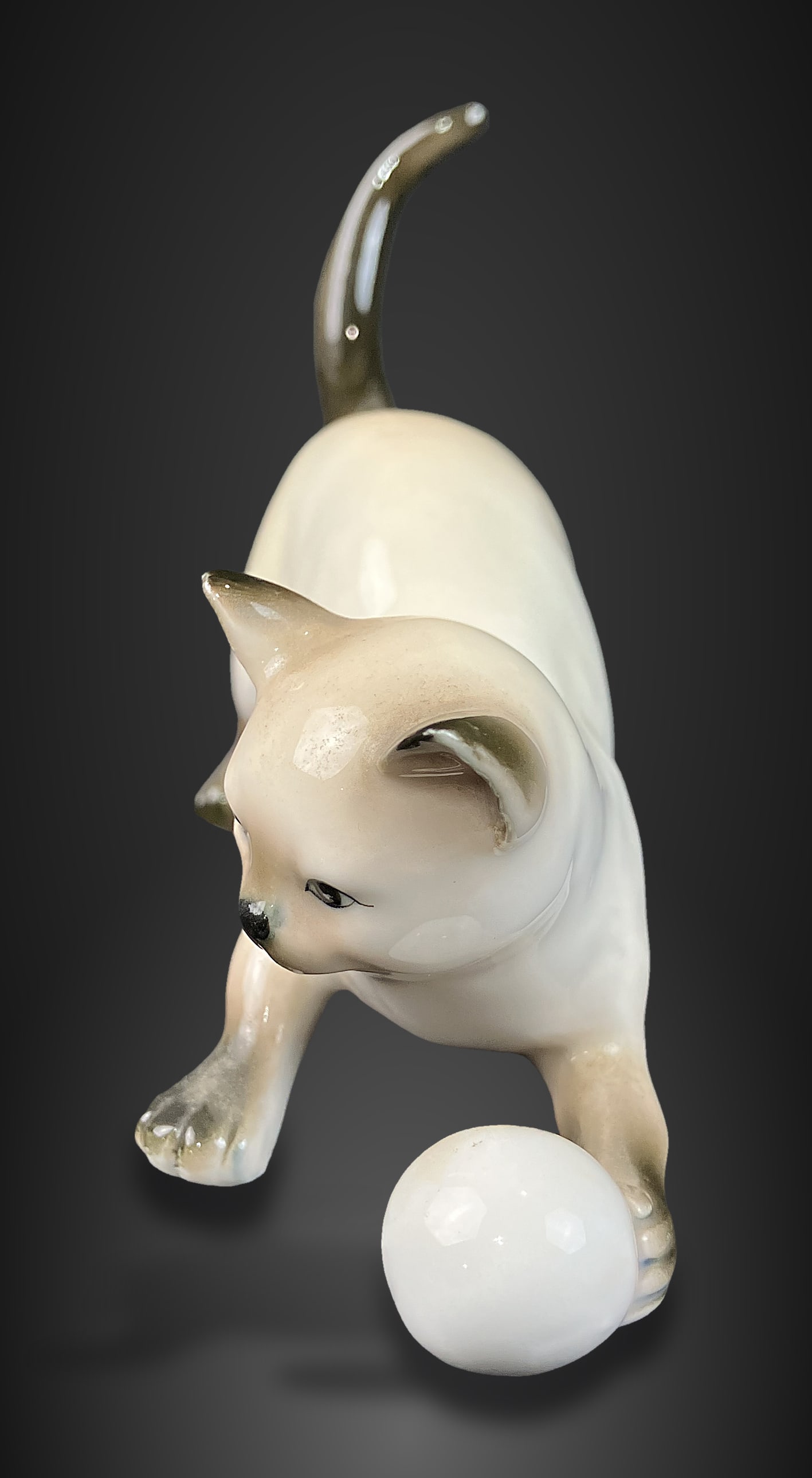 Lenwile China Siamese Cat - 6