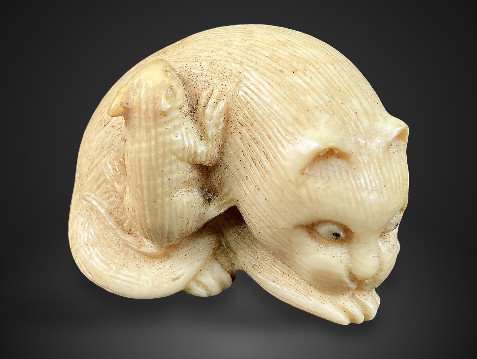 Cat and Mouse Figural Bone Carving: Petite bone carving depicts a cat interacting with a mouse. The piece features expressive facial features and well-defined fur detail. It measures approximately 1 in. in diameter and is in good