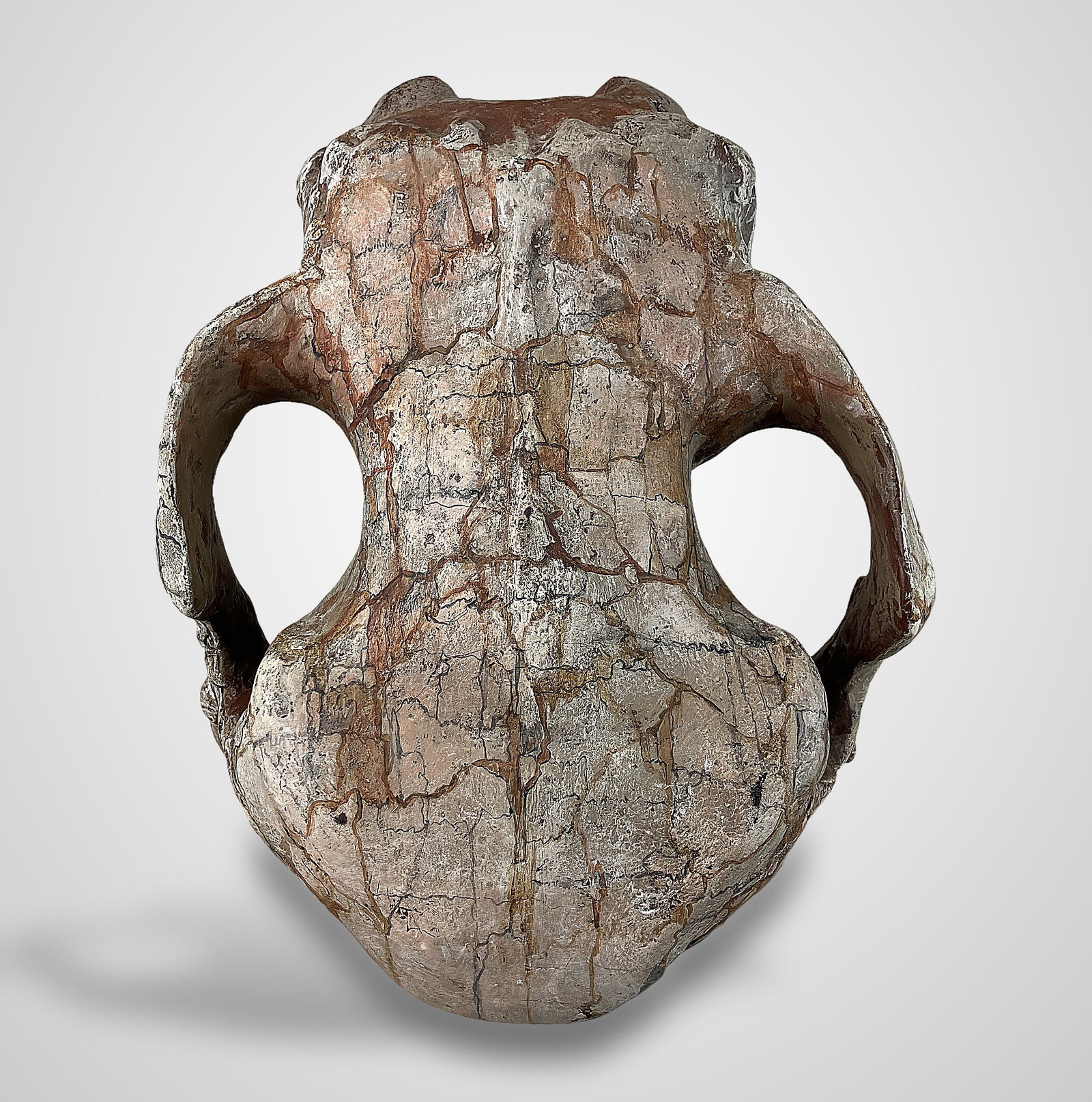 Endocranial Steer Skull Cast: This cast of a steer's frontal bone is crafted from plaster and features a finished, polychromed surface in rich earthy reds and warm beige tones. The piece measures approximately 14 1/4 in. H x 10