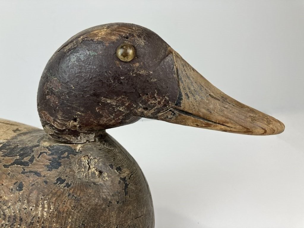 Canvasback Duck Decoy - 2