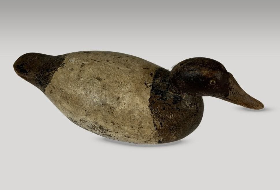Canvasback Duck Decoy - 3
