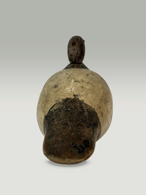 Canvasback Duck Decoy - 4