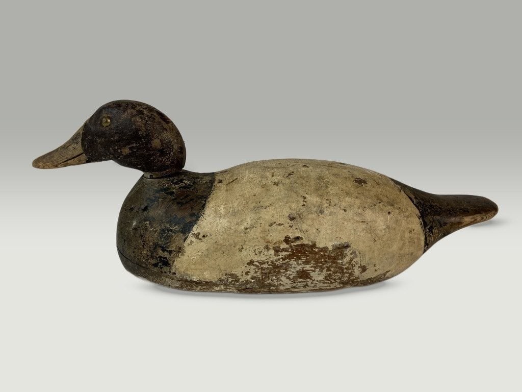 Canvasback Duck Decoy - 5