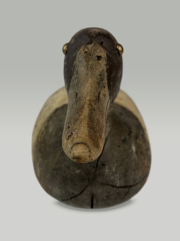 Canvasback Duck Decoy - 7